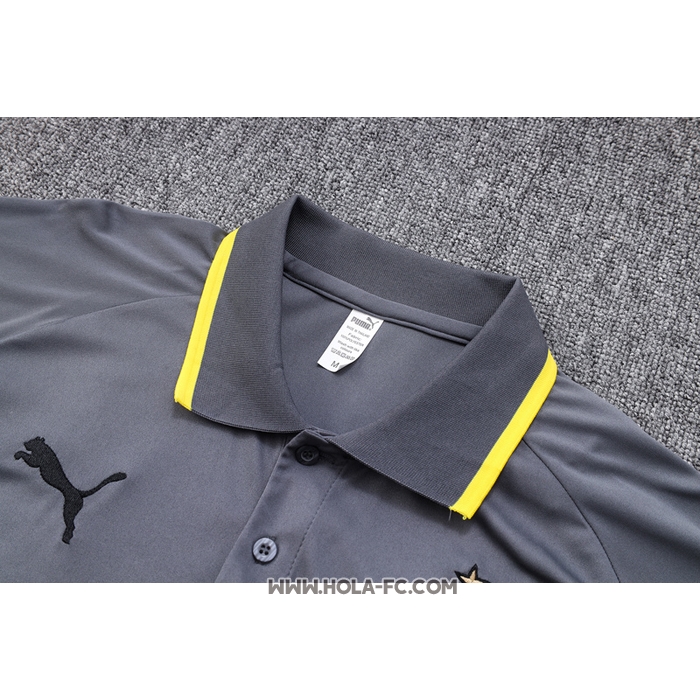 Camiseta Polo del Borussia Dortmund 2023-2024 Gris